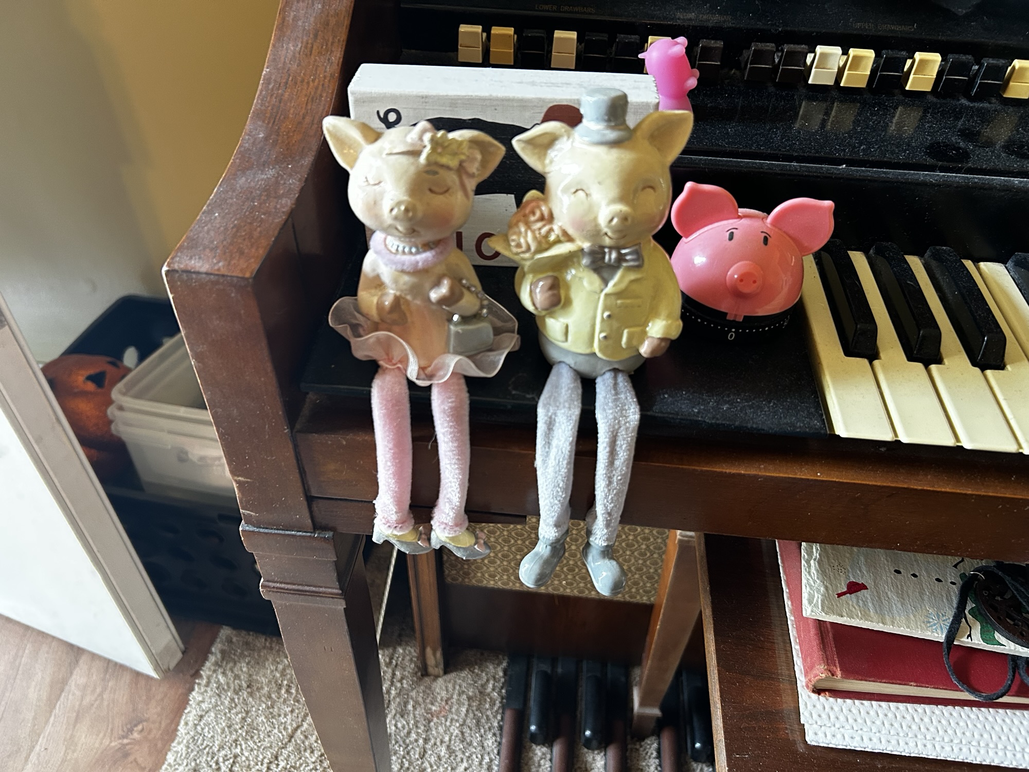 From ‘The Pig Lady’ to a Lifetime of Joy: Leanna Noah’s Collection Continues to Grow