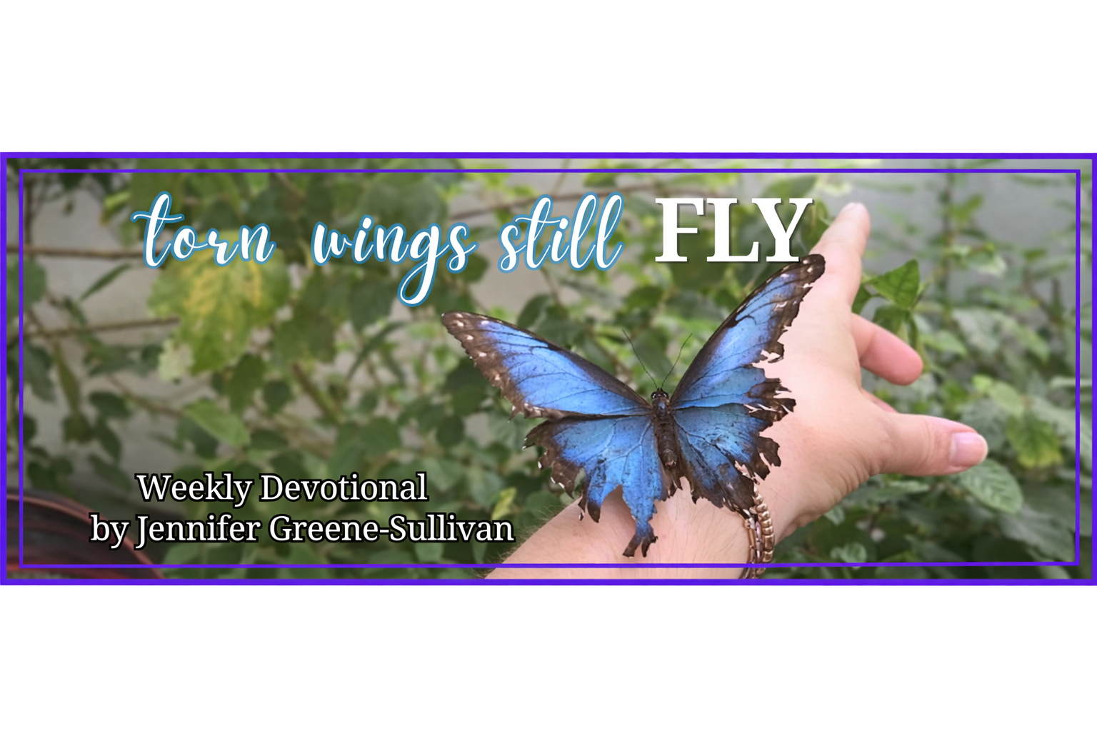 Jennifer Greene-Sullivan: Beautiful Rising Redemption-The Butterfly That Still Flew