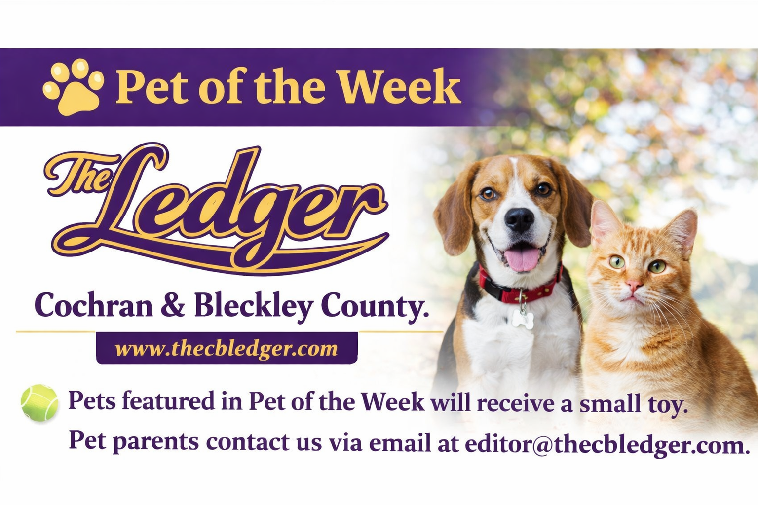 🐾 Pet of the Week: Reba 🐾