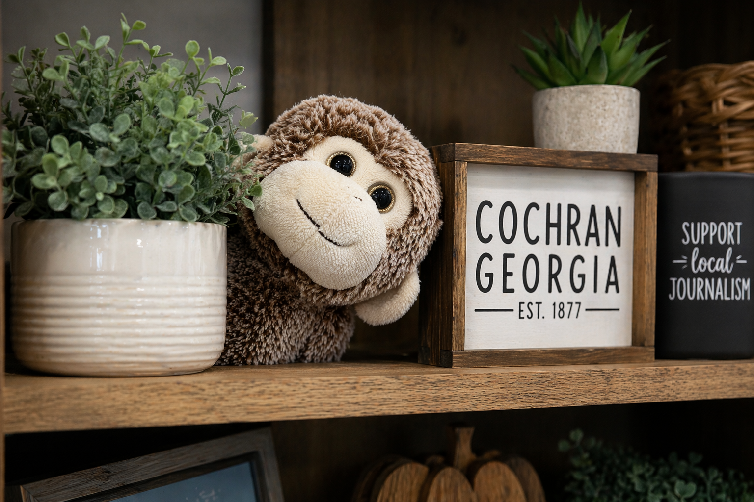 Contest: 🐵 Where’s Franklin?