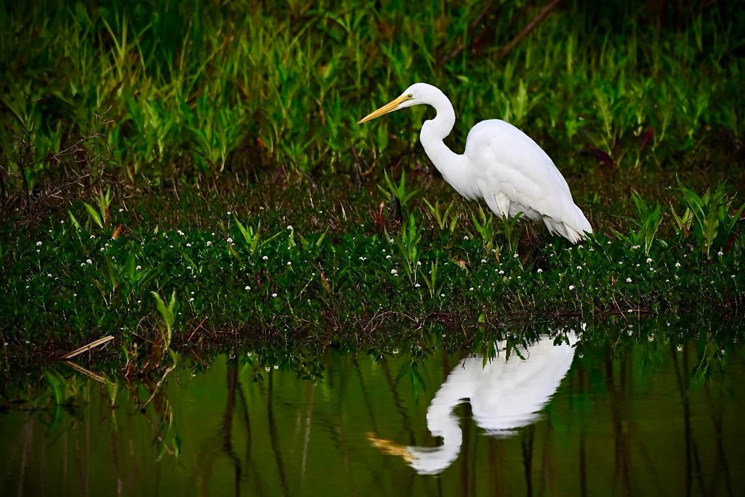 Outdoors, Agriculture and a Camera Lens: Meet Scott Williams