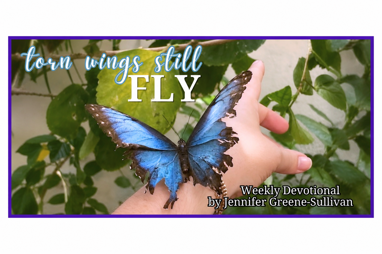Jennifer Greene-Sullivan: Help is on the way.