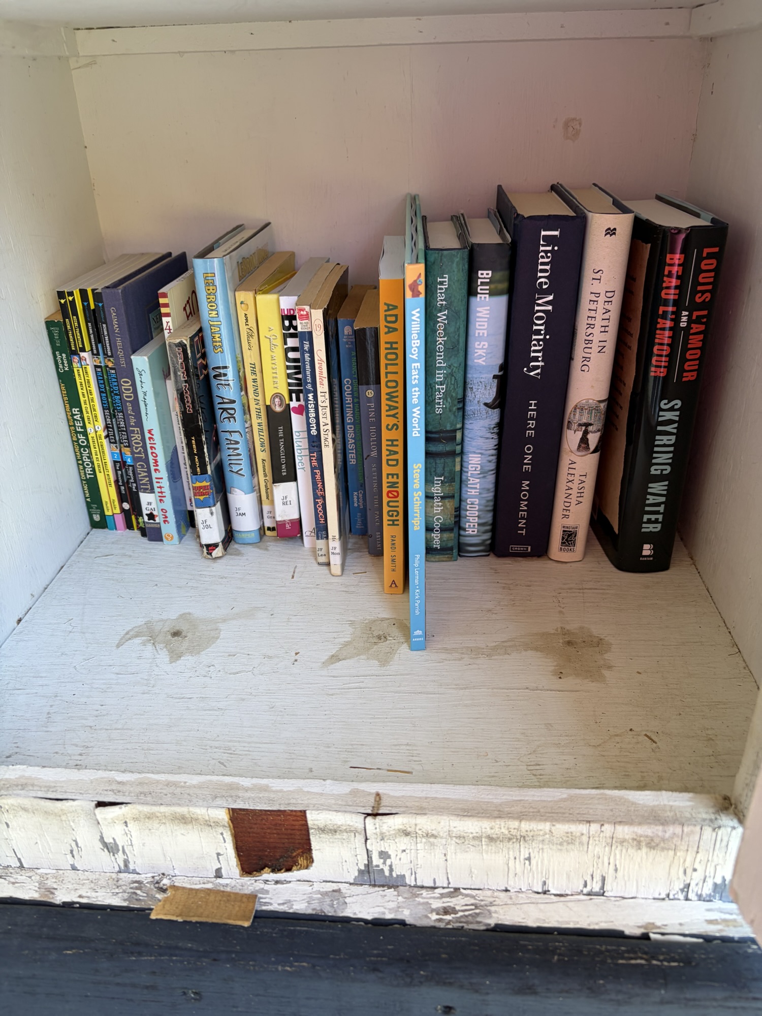 Looking for something to read?